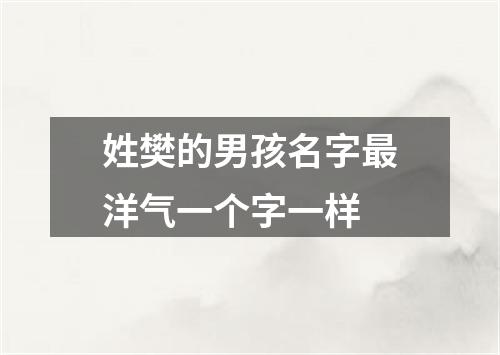 姓樊的男孩名字最洋气一个字一样