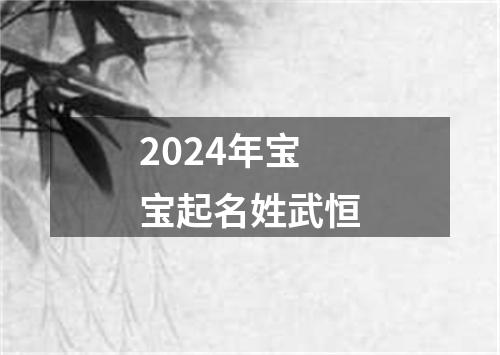 2024年宝宝起名姓武恒