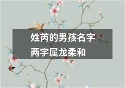 姓芮的男孩名字两字属龙柔和