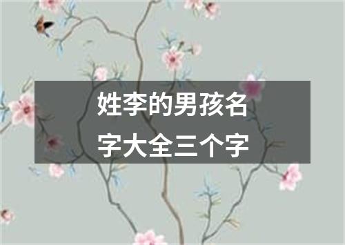 姓李的男孩名字大全三个字