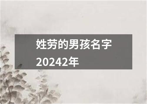 姓劳的男孩名字20242年