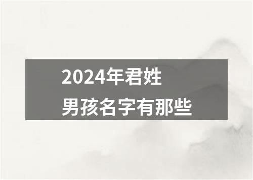 2024年君姓男孩名字有那些