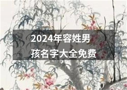 2024年容姓男孩名字大全免费