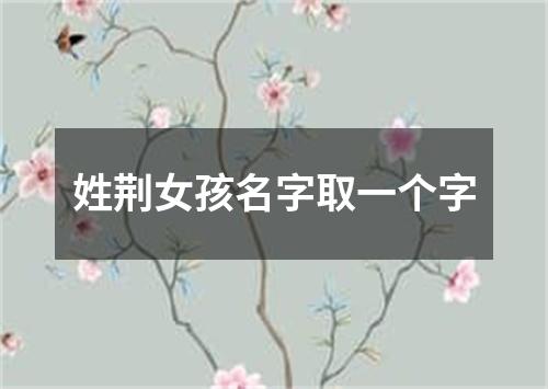 姓荆女孩名字取一个字