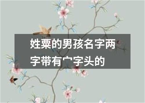 姓粟的男孩名字两字带有宀字头的