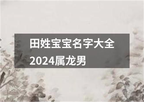 田姓宝宝名字大全2024属龙男