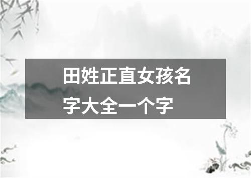 田姓正直女孩名字大全一个字