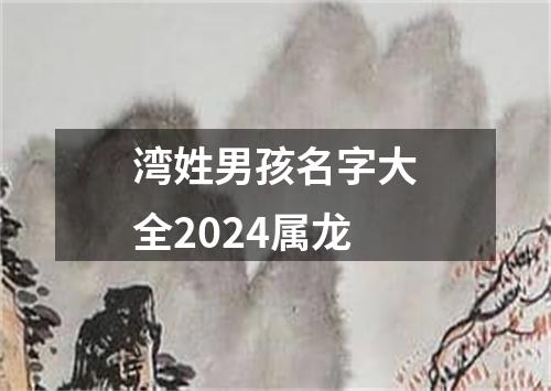 湾姓男孩名字大全2024属龙