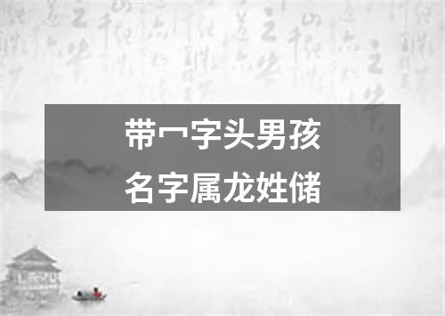 带冖字头男孩名字属龙姓储