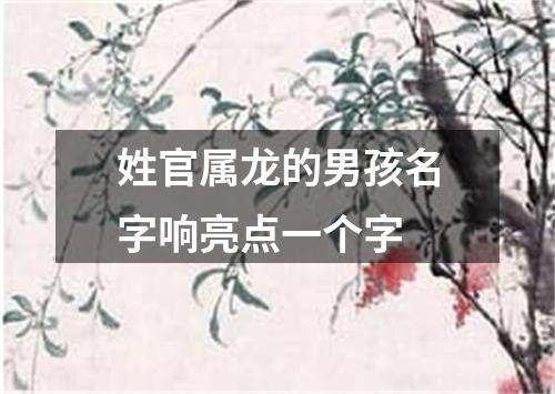 姓官属龙的男孩名字响亮点一个字