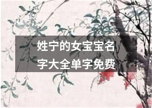 姓宁的女宝宝名字大全单字免费