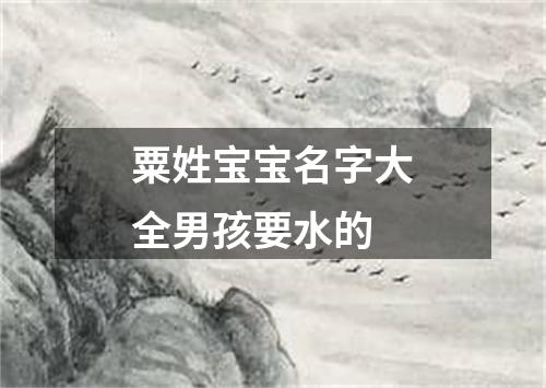 粟姓宝宝名字大全男孩要水的