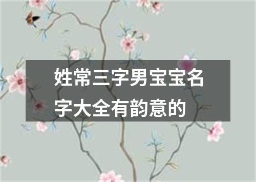 姓常三字男宝宝名字大全有韵意的