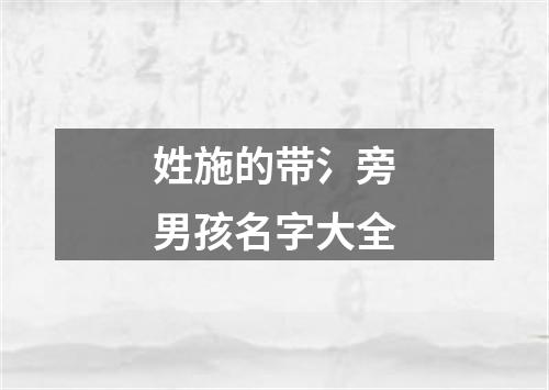 姓施的带氵旁男孩名字大全