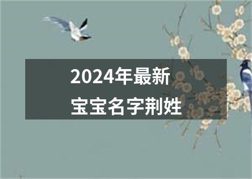 2024年最新宝宝名字荆姓