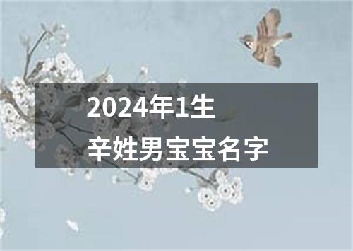 2024年1生辛姓男宝宝名字