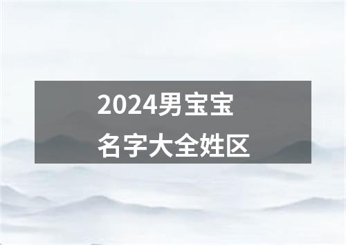 2024男宝宝名字大全姓区