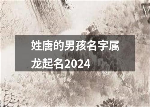 姓唐的男孩名字属龙起名2024