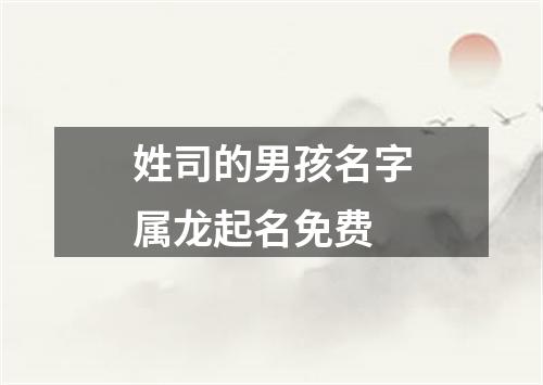 姓司的男孩名字属龙起名免费