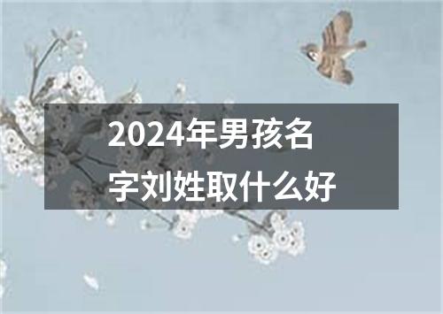 2024年男孩名字刘姓取什么好