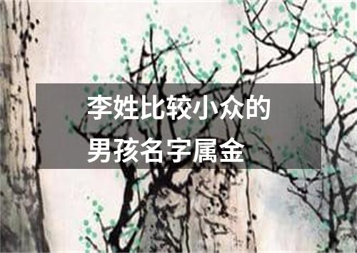 李姓比较小众的男孩名字属金