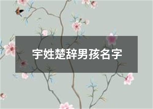 宇姓楚辞男孩名字