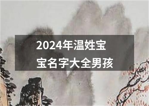 2024年温姓宝宝名字大全男孩