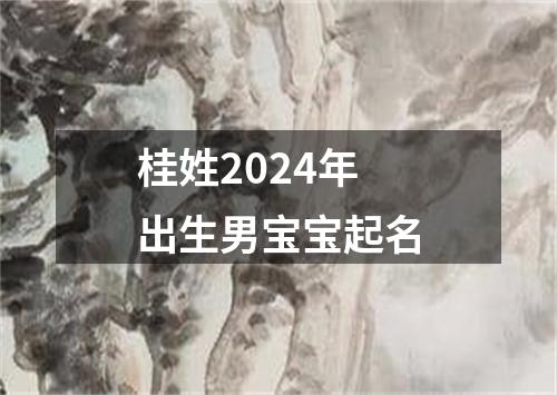 桂姓2024年出生男宝宝起名