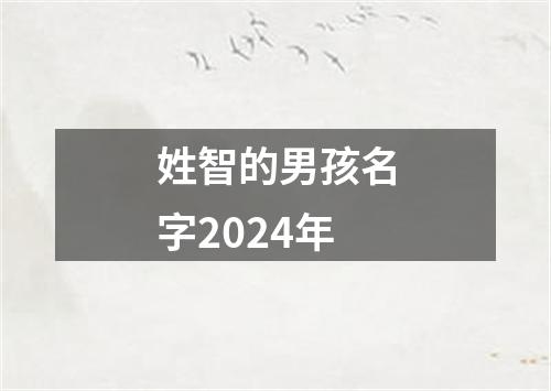 姓智的男孩名字2024年