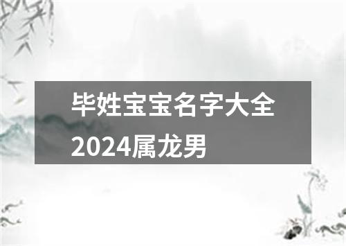 毕姓宝宝名字大全2024属龙男