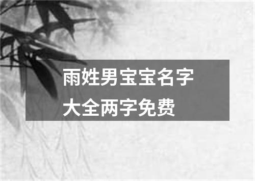 雨姓男宝宝名字大全两字免费