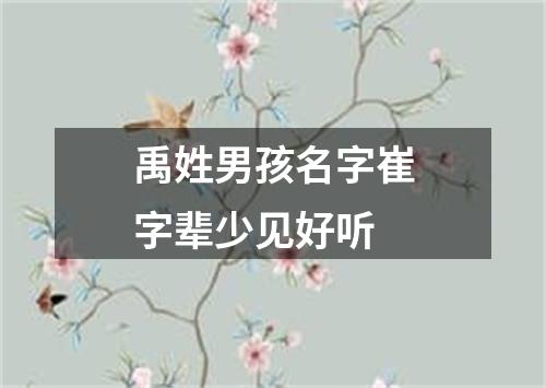 禹姓男孩名字崔字辈少见好听