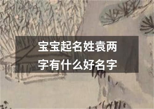 宝宝起名姓袁两字有什么好名字