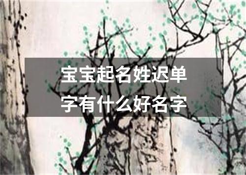 宝宝起名姓迟单字有什么好名字