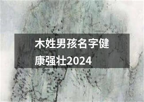 木姓男孩名字健康强壮2024