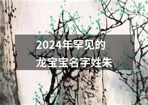 2024年罕见的龙宝宝名字姓朱