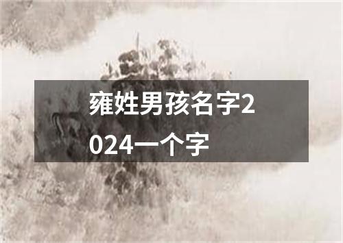 雍姓男孩名字2024一个字