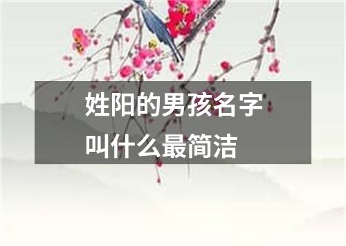 姓阳的男孩名字叫什么最简洁