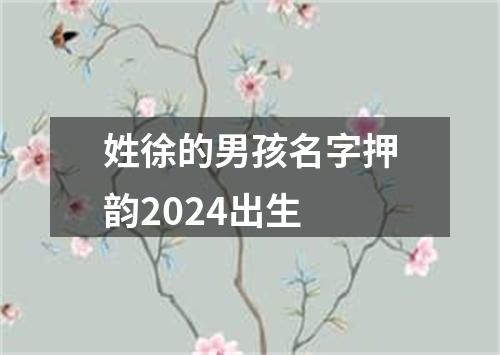 姓徐的男孩名字押韵2024出生