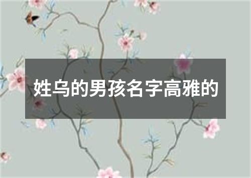 姓乌的男孩名字高雅的