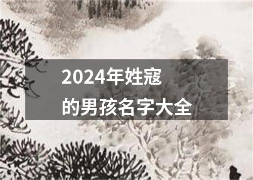 2024年姓寇的男孩名字大全