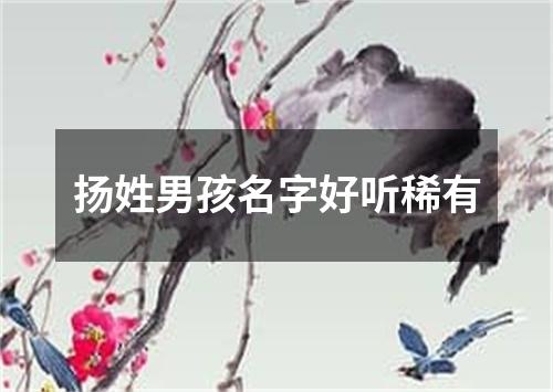 扬姓男孩名字好听稀有