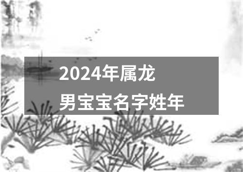 2024年属龙男宝宝名字姓年