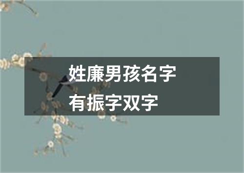 姓廉男孩名字有振字双字