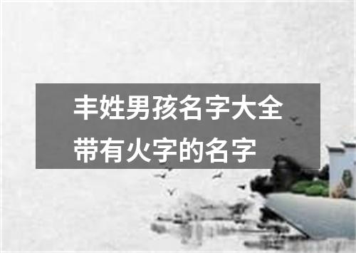 丰姓男孩名字大全带有火字的名字