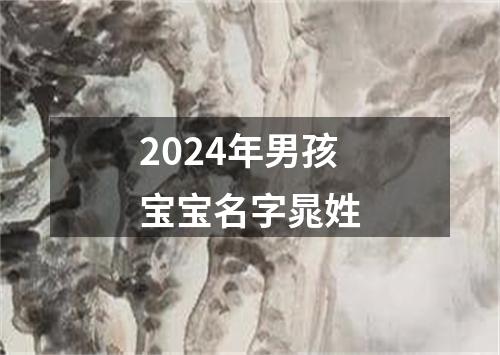 2024年男孩宝宝名字晁姓