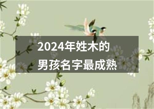 2024年姓木的男孩名字最成熟