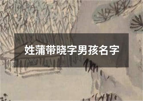 姓蒲带晓字男孩名字