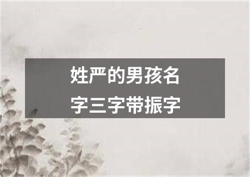 姓严的男孩名字三字带振字