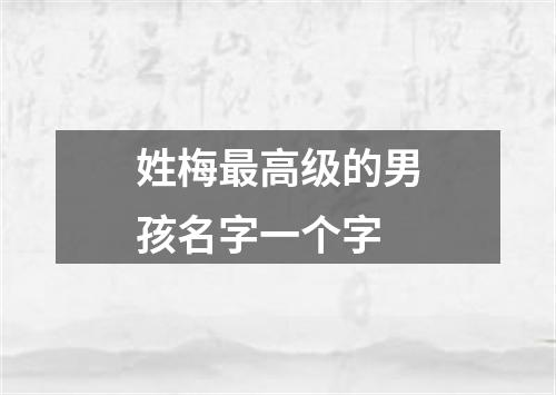 姓梅最高级的男孩名字一个字